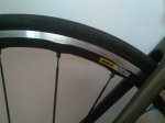 IMG_20160301_132021.jpg