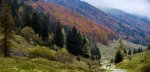 thomsontours-3negra.jpg