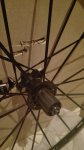 IMG_20160301_211421.jpg
