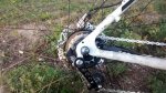 IMG_20160301_183533927.jpg