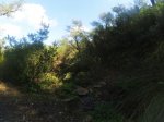 YDXJ1540_2.jpg