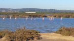 IMG_20160302_080204.JPG