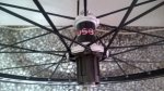 WP_20160301_17_38_05_Pro.jpg