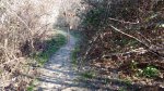 IMG_20160302_111709135.jpg
