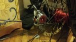 IMG-20160302-WA0006.jpg
