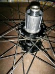 IMG_20160302_202638.jpg