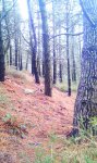 IMAG0431.jpg