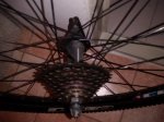 IMG_20160228_203734285.jpg