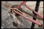 IMG-20160109-WA0023.jpg