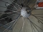 IMG_03032016_191919.jpg