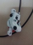 IMG_20160305_175215.jpg