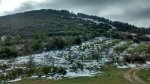 IMG_9473.JPG