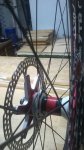 WP_20160229_008.jpg