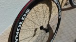 IMG_20160306_142959.jpg