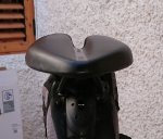 Frotanl 1.JPG