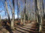 Ruta btt por Els Gallecs (9).JPG