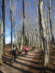 Ruta btt por Els Gallecs (11).JPG