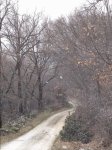 IMG_5484.JPG