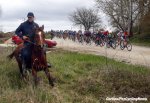 strade-bianche16-horse-920.jpg