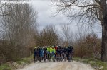 strade-bianche16-peloton-trees-920.jpg