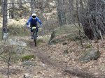 DSC00194.jpg