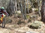 DSC00203.jpg