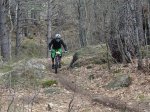 DSC00213.jpg