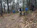 DSC00246.jpg