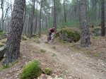 DSC00283.jpg