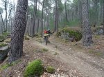 DSC00301.jpg