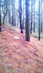 IMAG0432.jpg