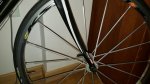 IMG-20160308-WA0001.jpg