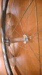 WP_20160308_004.jpg