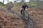 DSC_0732.jpg