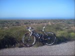 pinarello 2.jpg