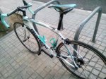 IMG_20160310_164919.jpg