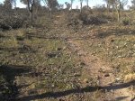 2016-03-10 10.01.17.jpg