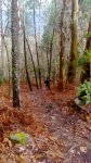 IMG-20160305-WA0005.jpg