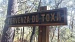 IMG-20160305-WA0006.jpg