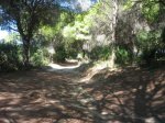 Corredor Verde dos Bahias 4.jpg