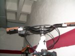 p28.jpg
