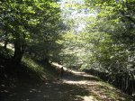 IMG_3931 (Medium).JPG