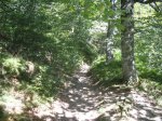 IMG_3933 (Medium).JPG