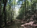 IMG_3937 (Medium).JPG