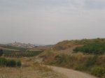 IMG_3992 (Medium).JPG