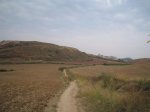 IMG_3994 (Medium).JPG