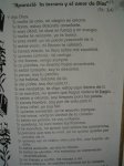 IMG_4030 (Medium).JPG