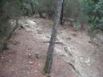 Imagen 021.jpg