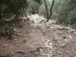 Imagen 022.jpg