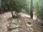 Imagen 025.jpg